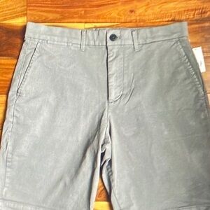 GAP Men's Flat Front Gray Shorts